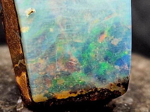 Boulder Opal Anhänger gebohrt mit 60cm Lederband, Opal - helle bis klare Opalschicht mit Multicolor Opalfeuer, 19,2 x 13,4 x 10,4mm, Unikat, Handgeschliffen