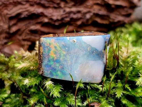 Boulder Opal Anhänger gebohrt mit 60cm Lederband, Opal - helle bis klare Opalschicht mit Multicolor Opalfeuer, 19,2 x 13,4 x 10,4mm, Unikat, Handgeschliffen