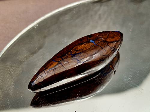 LeoLars-PABE Boulder Opal Anhänger gebohrt mit 60cm Lederband, wie versteinertes Holz, partielles Opalfeuer, 49.4x17x11.8mm, Unikat, Handarbeit