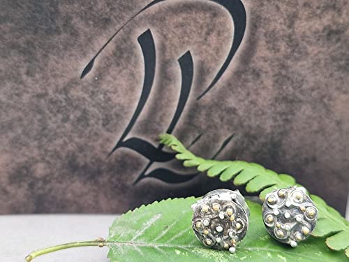Ohrstecker mit Geheimfach aus 925er Silber und Feingold Elementen, magisch, mit Verriegelung, teilgeschwärzt, Unikat, Handarbeit
