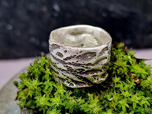 LeoLars-PABE Design Ring Konifere, Gr.56, aus 925er Silber, teilgeschwärzt, echte Koniferen Oberfläche, Unikat, Handarbeit