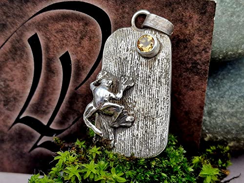 LeoLars-PABE Wetterfrosch Anhänger aus 925er Silber mit Citrin als Sonne, echte Pampasgrasstruktur, teilgeschwärzt, Unikat, Handarbeit