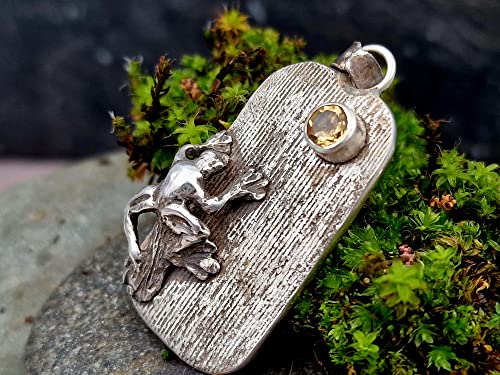 LeoLars-PABE Wetterfrosch Anhänger aus 925er Silber mit Citrin als Sonne, echte Pampasgrasstruktur, teilgeschwärzt, Unikat, Handarbeit