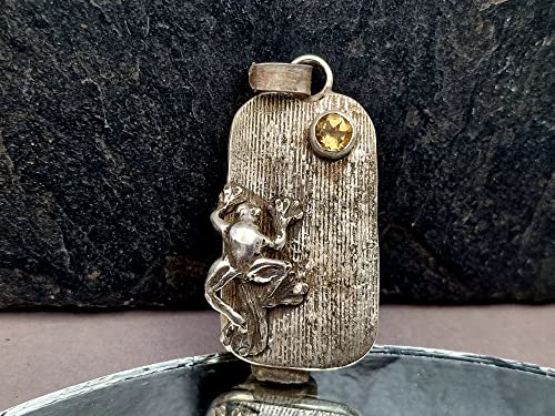 LeoLars-PABE Wetterfrosch Anhänger aus 925er Silber mit Citrin als Sonne, echte Pampasgrasstruktur, teilgeschwärzt, Unikat, Handarbeit
