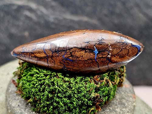 LeoLars-PABE Boulder Opal Anhänger gebohrt mit 60cm Lederband, wie versteinertes Holz, partielles Opalfeuer, 49.4x17x11.8mm, Unikat, Handarbeit