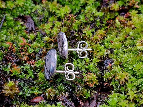 Kaffee Ohrstecker aus 925er Silber mit echten gegossenen Kaffeebohnen für Kaffeeliebhaber, Unikat, Handarbeit