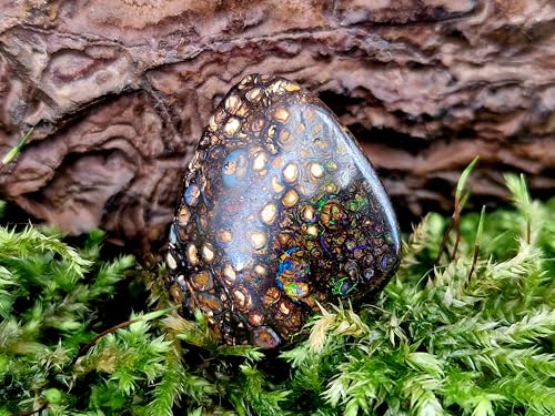 Boulder Opal Anhänger, gebohrt mit 60cm Lederband, Opal mit Kringel Muster und in den Adern herrliches Feuer in verschiedenen Farben, Größe 21mm x 19mm x 8,3mm, Unikat, Handgeschliffen