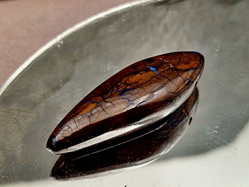LeoLars-PABE Boulder Opal Anhänger gebohrt mit 60cm Lederband, wie versteinertes Holz, partielles Opalfeuer, 49.4x17x11.8mm, Unikat, Handarbeit