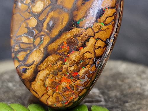 LeoLars-PABE Boulder Opal Anhänger gebohrt mit 60 cm Lederband, tolles Muster, grün-rotes Opalfeuer, Opal 33.6 x 19.9 x 11mm, Unikat, Handgeschliffen